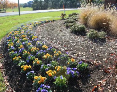 A curved garden bed with orange and purple flowers is bordered by a mesh fence. Dried ornamental grasses are visible on the right.