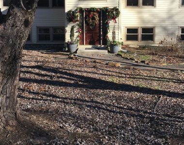A house with a red door decorated with holiday wreaths and garlands, surrounded by bare trees and fallen leaves on the ground.